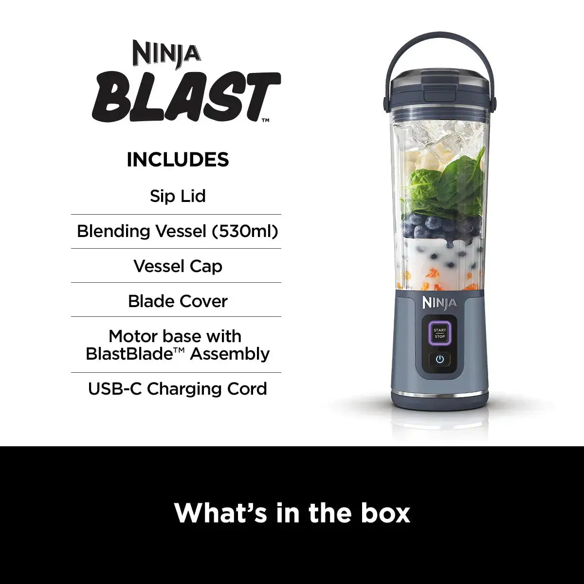 NINJA BLAST CORDLESS BLENDER
