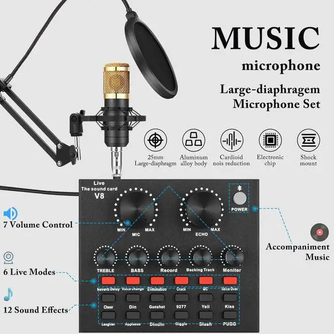 Professional Condenser Microphone Kit with V8 Sound Card